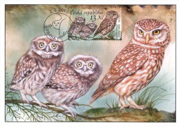 CM 853-6 Czech Republic European Owls 2015 - Hiboux & Chouettes