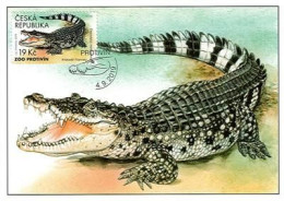 CM 1038 Czech Republic Nature Protection: Zoological Gardens IV 2019 Crocodile - Andere & Zonder Classificatie