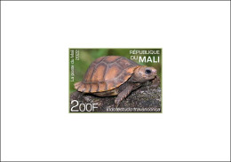 MALI 2022 DELUXE PROOF - INDIA ENDEMIC FAUNA - TURTLE TURTLES TORTUES TORTUE REPTILES - RARE - Schildpadden