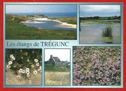 Trégunc (29) Les étangs Et Dunes Entre La Pointe De La Jument Et La Pointe De Trévignon 2scans 16-09-1995 - Trégunc