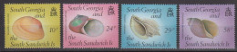 South Georgia 1988 Shells 4v ** Mnh (59821A) - Georgias Del Sur (Islas)