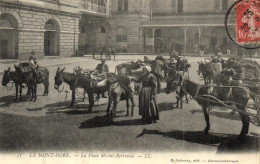 France > [63] Puy-de-Dôme > Le Mont Dore - La Place Michel Bertrand - Attelage D'Anes - 15152 - Le Mont Dore