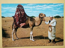 KOV 506-45 - CHAMEAU, CAMEL, LIBYA - Sonstige & Ohne Zuordnung