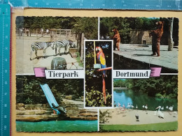 KOV 506-42 - BEAR, OURS, DORTMUND TIERPARK, ZOO GARDEN, JARDIN ZOOLOGIQUE, ZEBRA, PARROT - Ours