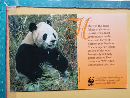 KOV 506-42 - BEAR, OURS, PANDA, WWF, WASHINGTON, WORLD WILDLIFE FUND - Bears