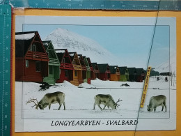 KOV 506-40 - ROE DEER, CERF, LONGYEARBYEN SVALBARD - Otros & Sin Clasificación