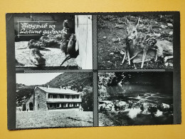 KOV 506-39 - ROE DEER, CERF, PIROT, DOLINA DABROVA, MAUS, MOUSE - Otros & Sin Clasificación