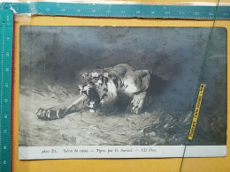 KOV 506-38 - Tiger, Tigre ,  - Tijgers
