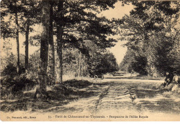 Chateauneuf En Thimerais Thymerais Foret L'allée Royale - Châteauneuf