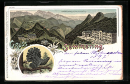 Lithographie Semmering, Südbahn-Hotels, Auerhahn, Edelweiss  - Andere & Zonder Classificatie