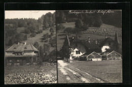 AK Lunz, Blick Auf Die Biologische Anstalt Seehof  - Other & Unclassified