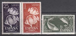 Sahara Correo 1962 Edifil 209/11 ** Mnh - Spanische Sahara