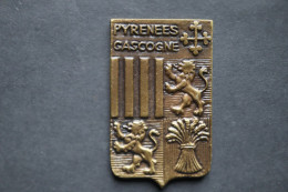 Plaque En Bronze CJF Pyrenees Gascogne Servir Et Espérer Chantier De Jeunesse - 1939-45
