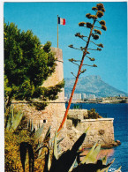 La Seyne-sur-Mer - Tamaris - Musée Naval De Fort Balaguier - La Seyne-sur-Mer