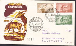 Sahara Sobres 1º Día 1955 Edifil 123/5 - Sahara Espagnol
