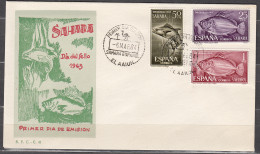 Sahara Sobres 1º Día 1964 Edifil 222/4 - Spaanse Sahara