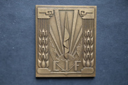Plaque En Bronze CJF 1940 1944 Chantier De Jeunesse - 1939-45