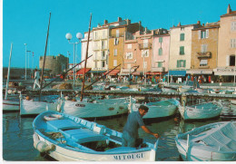 Saint-Tropez - Le Port - Saint-Tropez