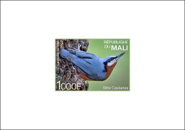 MALI 2022 DELUXE PROOF - INDIA ENDEMIC FAUNA - BIRD BIRDS OISEAUX OISEAU SITTA CASTANEA - RARE - Otros & Sin Clasificación