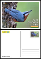 MALI 2022 STATIONERY CARD - INDIA ENDEMIC FAUNA - BIRD BIRDS OISEAUX OISEAU SITTA CASTANEA - RARE - Andere & Zonder Classificatie