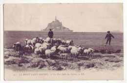 France - 50 - Le Mont Saint-Michel - Les Prés Salés Des Grèves - 7090 - Le Mont Saint Michel