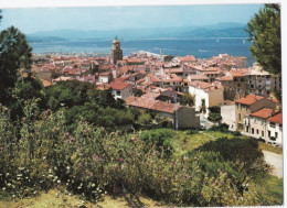 Saint-Tropez - Les Toits Vus Depuis Un Chemin De La Citadelle - Saint-Tropez