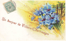 Villiers Charlemagne * CPA Souvenir Du Village , Un Bonjour * Gaufrée Embossed 1906 - Sonstige & Ohne Zuordnung