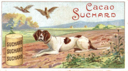 CHROMO CHOCOLAT CACAO SUCHARD LES CHIENS N°7 POINTER - Suchard