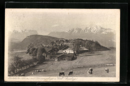 AK Gaisberg, Zistelalm Mit Tennengebirge  - Sonstige & Ohne Zuordnung