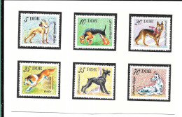 DF63 -TIMBRES DDR - CHIENS - Dogs