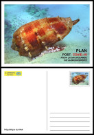 MALI 2022 STATIONERY CARD - POST- COVID-19 RECOVERY PLAN - SHELLS SHELL COQUILLAGE COQUILLAGES - RARE - Schelpen