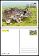 MALI 2022 STATIONERY CARD - POST- COVID-19 RECOVERY PLAN - FROGS FROG GRENOUILLES GRENOUILLE TOAD TOADS - RARE - Frogs