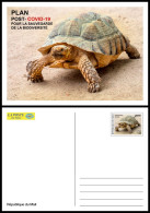 MALI 2022 STATIONERY CARD - POST- COVID-19 RECOVERY PLAN - TURTLE TURTLES TORTUES TORTUE REPTILES - RARE - Turtles