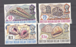 Ocean Indien  :  Yv  59-62  **  Coquillages - Other & Unclassified