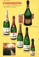 N°42480 Z -carte Publicitaire -Codorniu- - Werbepostkarten