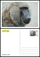 MALI 2022 STATIONERY CARD - POST- COVID-19 RECOVERY PLAN - APES APE MONKEYS MONKEY SINGES SINGE BABOON BABOONS - RARE - Mono