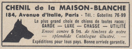 Chenil De La Maison Blanche - 1938 Vintage Advertising - Pubblicit� Epoca - Publicidad