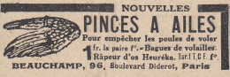 Pinces A Ailes - Beauchamp - 1924 Vintage Advertising - Pubblicit� Epoca - Reclame