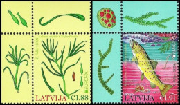 Latvia Lettland Lettonie 2024 (07) Europa - Underwater Flora And Fauna - Fish - Trout (corners) - Lettonia