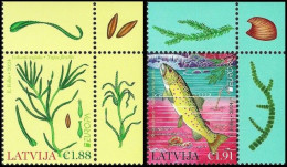 Latvia Lettland Lettonie 2024 (07) Europa - Underwater Flora And Fauna - Fish - Trout (corners) - Letland