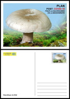 MALI 2022 STATIONERY CARD - POST- COVID-19 RECOVERY PLAN - MUSHROOMS MUSHROOM CHAMPIGNONS CHAMPIGNON - RARE - Mushrooms