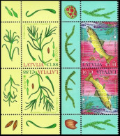 Latvia Lettland Lettonie 2024 (07) Europa - Underwater Flora And Fauna - Fish - Trout (t-b Pairs) - Letonia