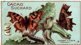 CHROMO CHOCOLAT CACAO SUCHARD LES PAPILLONS N°9 VANESSA E. ALBUM (ALLEMAGNE) - Suchard