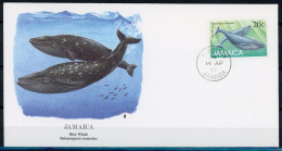 Jamaika 691 Wale Ersttagesbrief/FDC #HK811 - Jamaique (1962-...)