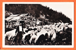 05461 / BERGER à La MONTAGNE Moutons Brebis Bergerie Métier Paysans Pyrénées Illustrées 1950s Photo-Bromure APA-POUX 3 - Landbouwers
