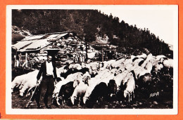 05461 / BERGER à La MONTAGNE Moutons Brebis Bergerie Métier Paysans Pyrénées Illustrées 1950s Photo-Bromure APA-POUX 3 - Paysans