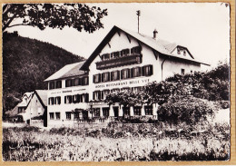 05369 ● OBERSTEIGEN Bas-Rhin Hotel-Restaurant-Pension BELLE VUE Propriétaire URBANIAK Chef Cuisine Photo MARASCO - Other & Unclassified