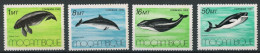 Mosambik 1066-69 Postfrisch Fische #IN022 - Mozambico