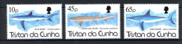 Tristan Da Cunha 564-566 Postfrisch Haie #HE874 - Ascensión