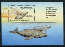 Antigua Und Barbuda Block 554 Postfrisch Wale #HE848 - Antigua E Barbuda (1981-...)